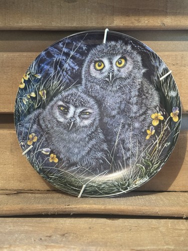 Wedgwood owls design china - owls,