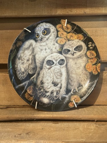 Wedgwood owls design china - owls,
