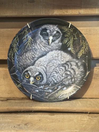 Wedgwood owls design china - wedgwood,