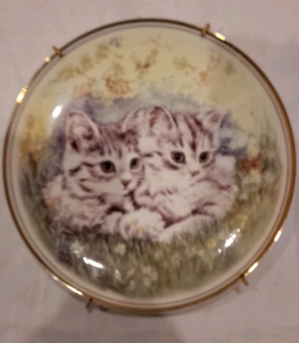 Lovely kittens wall plate - wall, &