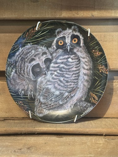Wedgwood owls design - owls, china